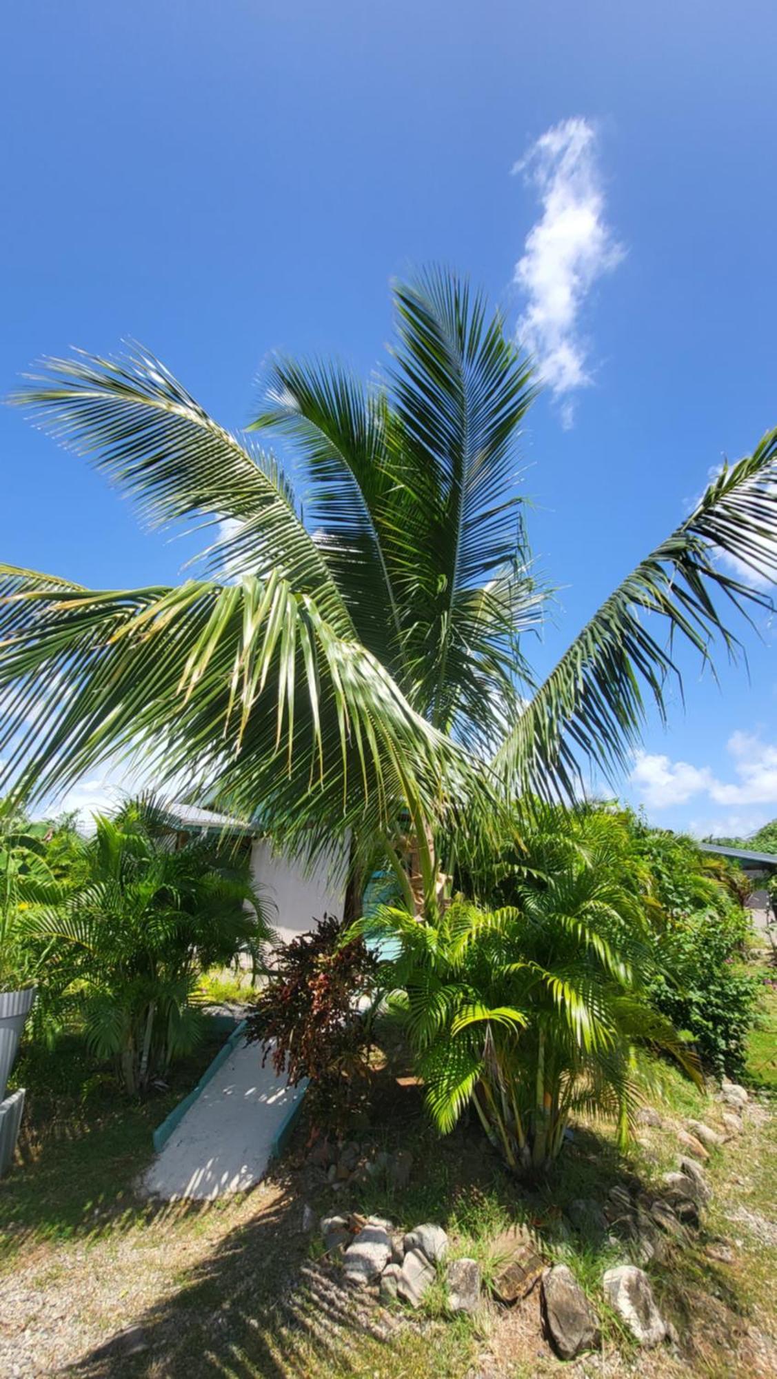 Bungalows Ti Lodge Martinique - Pres De La Plage Avec Jacuzzi Prive Sainte-Luce Exterior foto